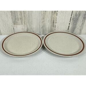 Sanibel Vintage Autumn Collection Stoneware Lot of 2 Dinner Plates Japan MCM